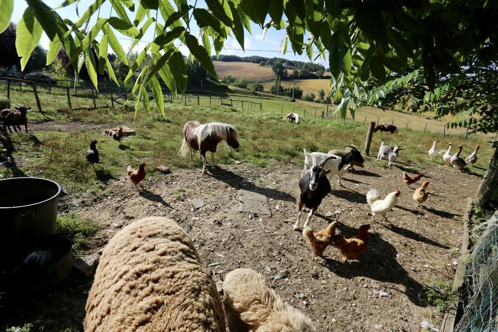 La Ferme Couderc Villa Castelnaud-de-Gratecambe ภายนอก รูปภาพ