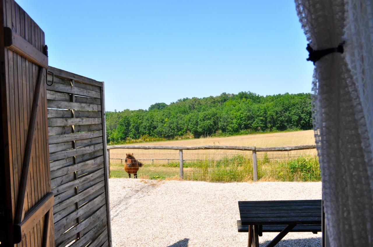 La Ferme Couderc Villa Castelnaud-de-Gratecambe ภายนอก รูปภาพ